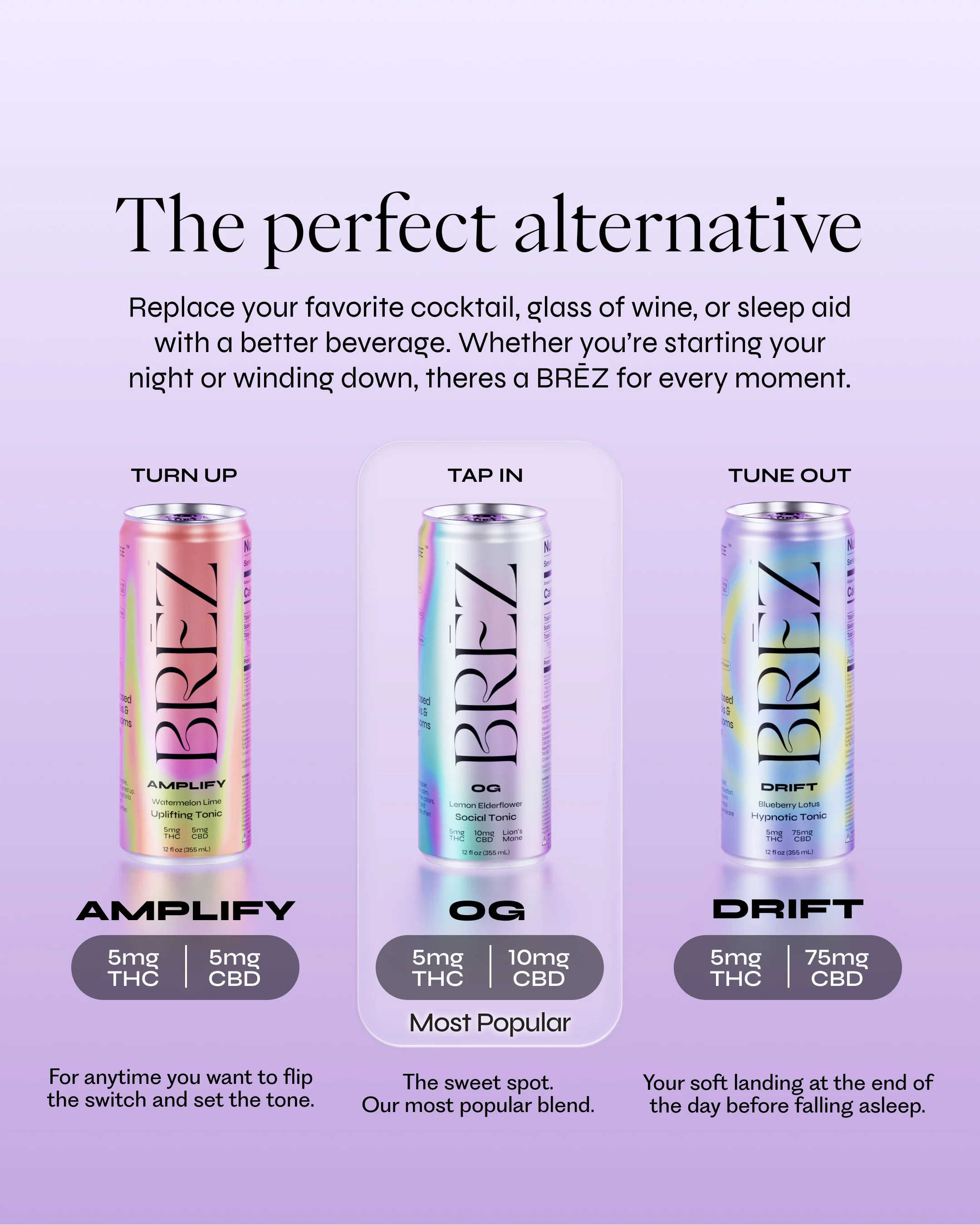 Amplify - Image 6