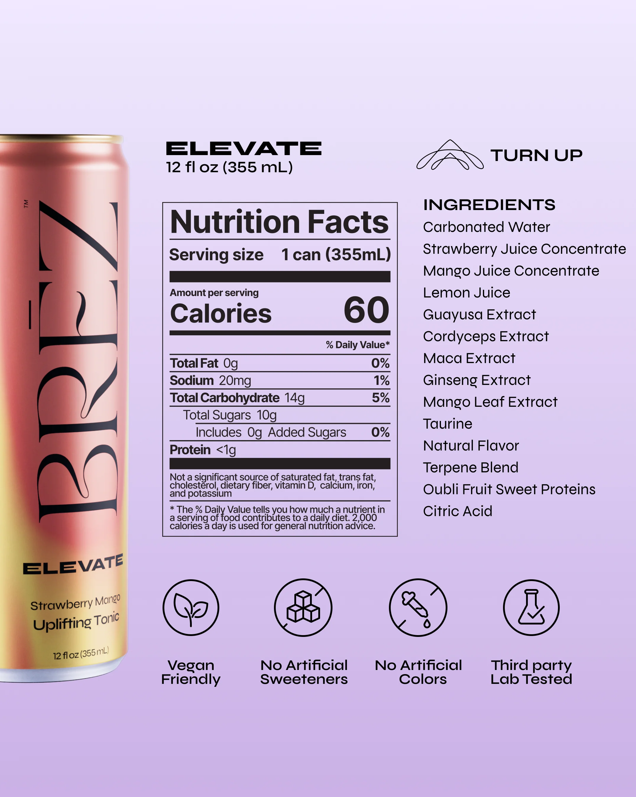 Elevate - Image 7